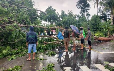 Pohon Tumbang Ganggu Arus Lalu Lintas di Jalan H. Abdul Fatah, Desa pahonjean Kecamatan Majenang Kabupaten Cilacap